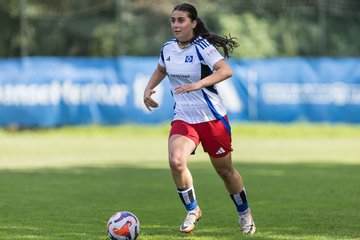 Bild 198 - wBJ Hamburger SV - VfL Wolfsburg : Ergebnis: 5:1